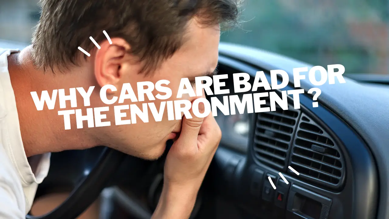 why cars are bad for the environment ?