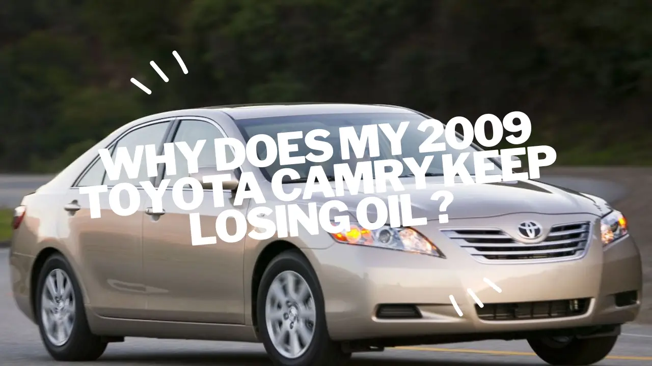 why does my 2009 toyota camry keep losing oil ?